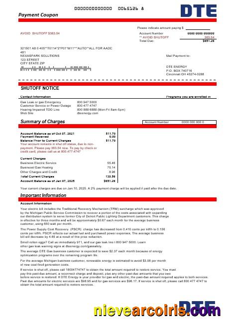 USA Michigan DTE Energy business utility bill